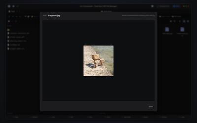 Remote Media Viewer