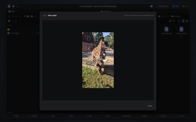 Video in the Web Viewer