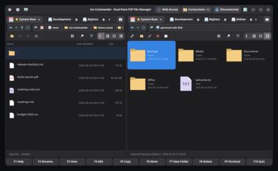 WebDAV Web Disk in a Panel